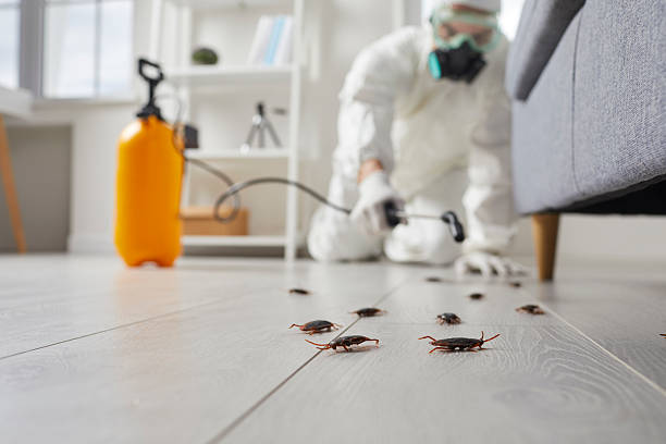 Post-Treatment Bed Bug Interceptor Monitoring in Knik-Fairview