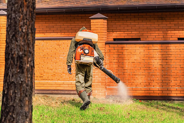 Bed Bug Clearance Verification and Documentation in Knik-Fairview